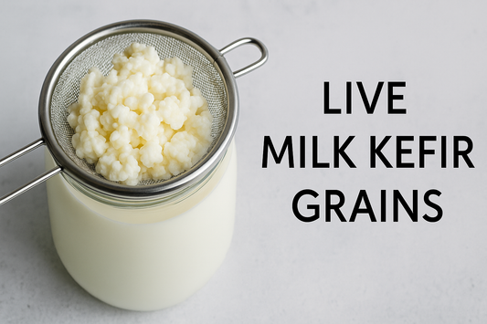 Live Milk Kefir Grains